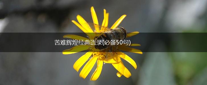 苦难辉煌经典语录(必备50句),第1张