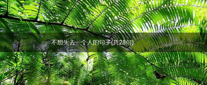 不想失去一个人的句子(共28句),第1张