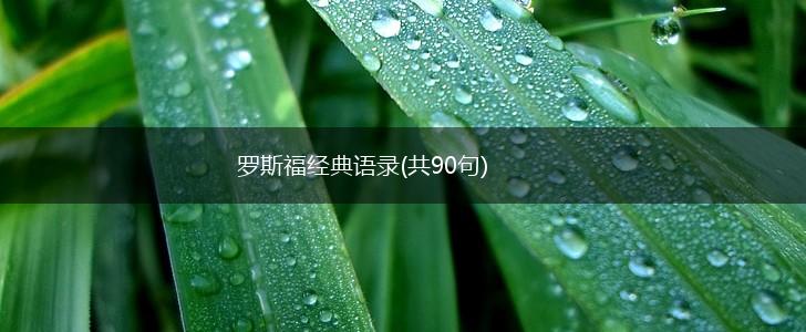 罗斯福经典语录(共90句),第1张