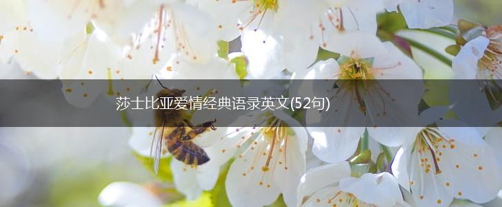 莎士比亚爱情经典语录英文(52句),第1张