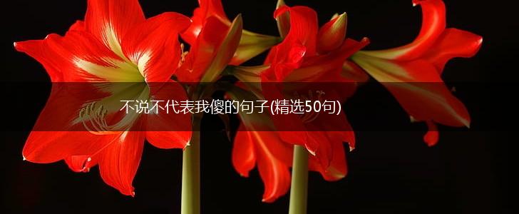 不说不代表我傻的句子(精选50句),第1张