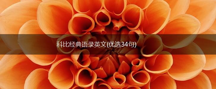 科比经典语录英文(优选34句),第1张