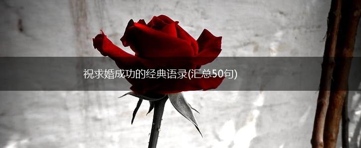 祝求婚成功的经典语录(汇总50句),第1张