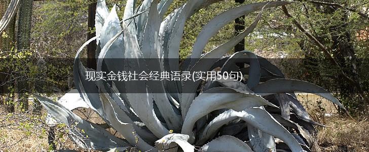 现实金钱社会经典语录(实用50句),第1张