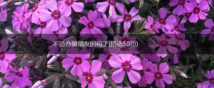 不适合做朋友的句子(精选50句),第1张