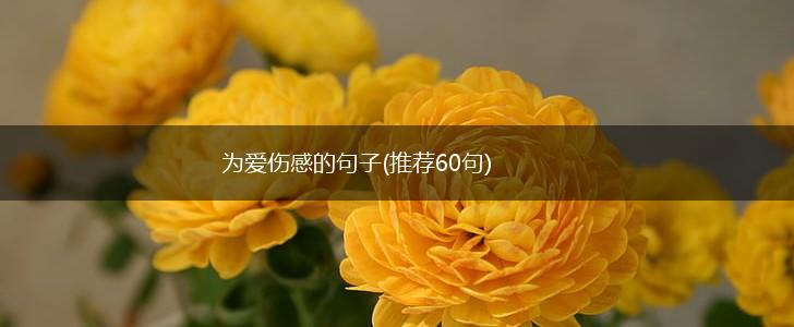 为爱伤感的句子(推荐60句),第1张