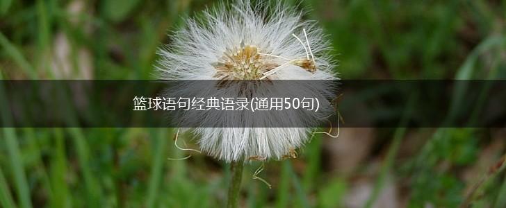 篮球语句经典语录(通用50句),第1张