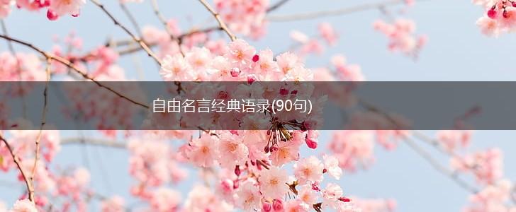 自由名言经典语录(90句),第1张