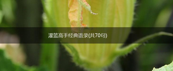 灌篮高手经典语录(共70句),第1张