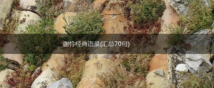 谢怜经典语录(汇总70句),第1张