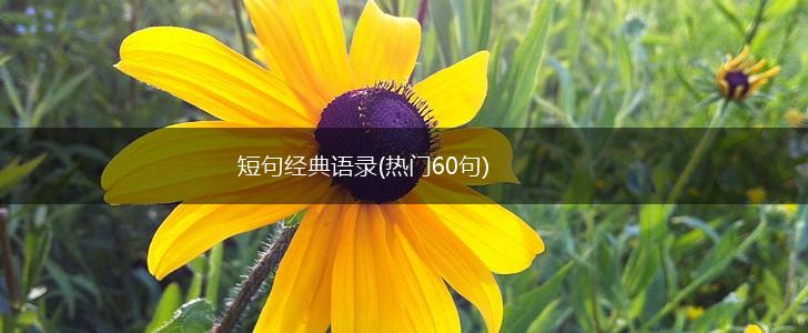 短句经典语录(热门60句),第1张