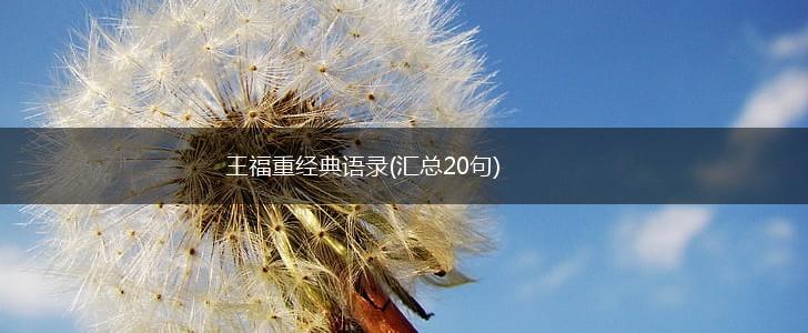 王福重经典语录(汇总20句),第1张