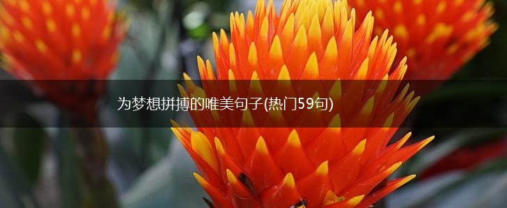 为梦想拼搏的唯美句子(热门59句),第1张