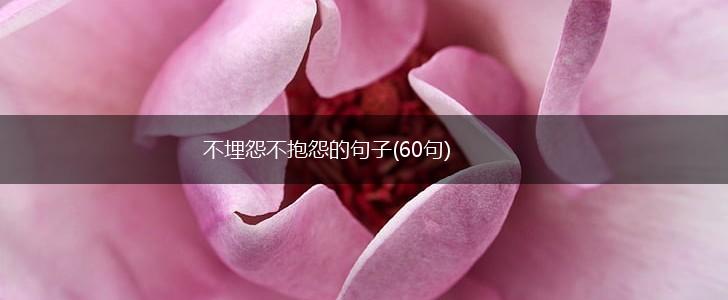 不埋怨不抱怨的句子(60句),第1张