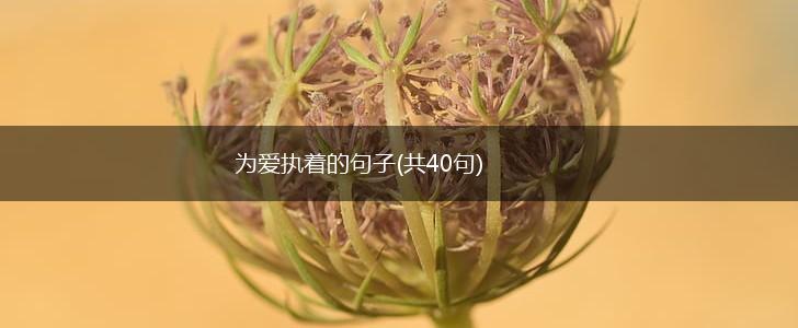 为爱执着的句子(共40句),第1张