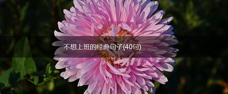 不想上班的经典句子(40句),第1张