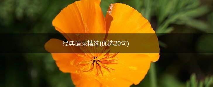 经典语录精选(优选20句),第1张