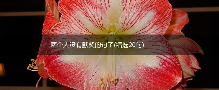 两个人没有默契的句子(精选20句),第1张