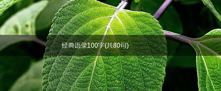 经典语录100字(共80句),第1张 经典语录100字(共80句),第1张