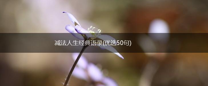 减法人生经典语录(优选50句),第1张