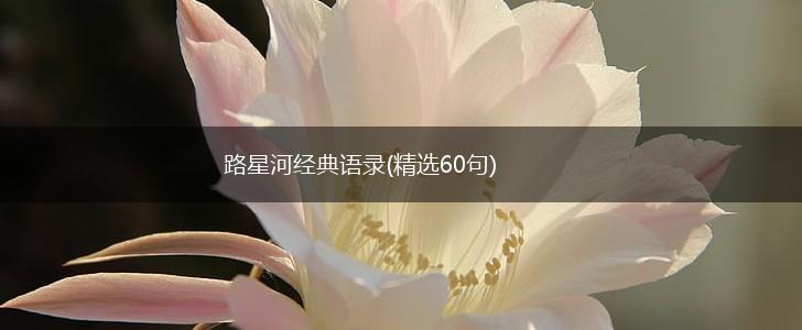 路星河经典语录(精选60句),第1张