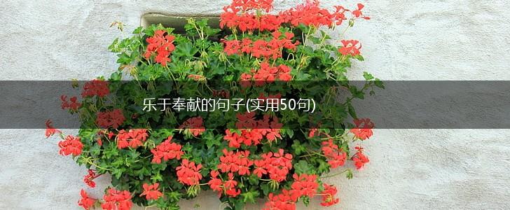 乐于奉献的句子(实用50句),第1张