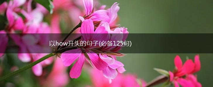 以how开头的句子(必备125句),第1张