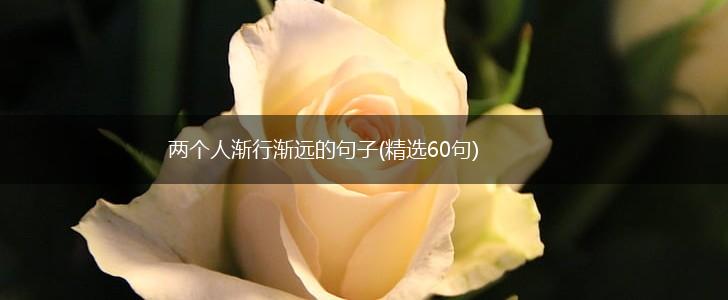 两个人渐行渐远的句子(精选60句),第1张