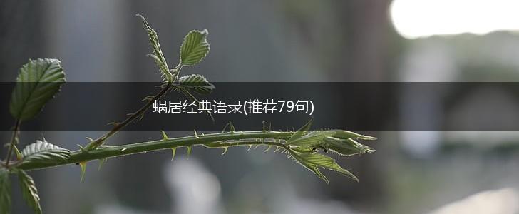 蜗居经典语录(推荐79句),第1张