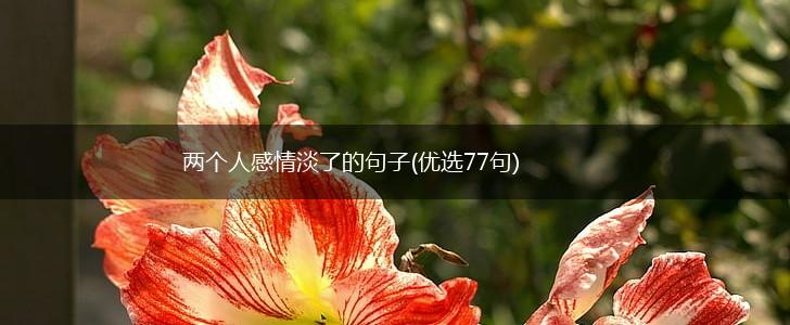 两个人感情淡了的句子(优选77句),第1张