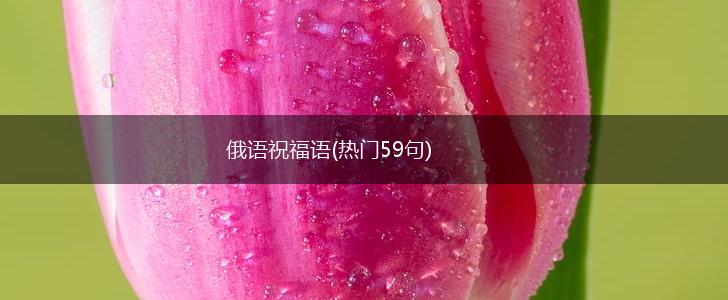 俄语祝福语(热门59句),第1张