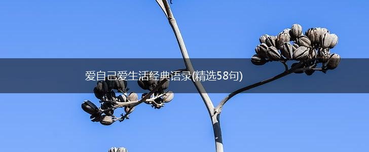 爱自己爱生活经典语录(精选58句),第1张