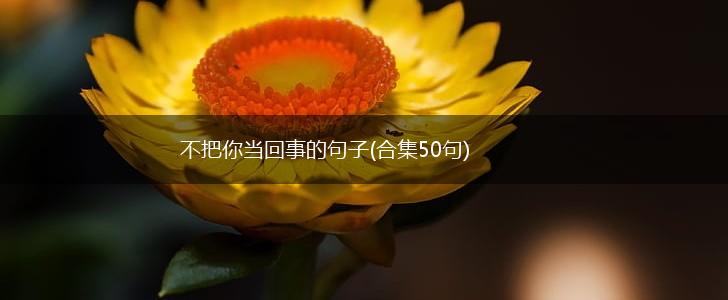不把你当回事的句子(合集50句),第1张