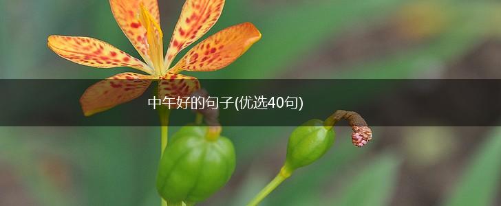 中午好的句子(优选40句),第1张