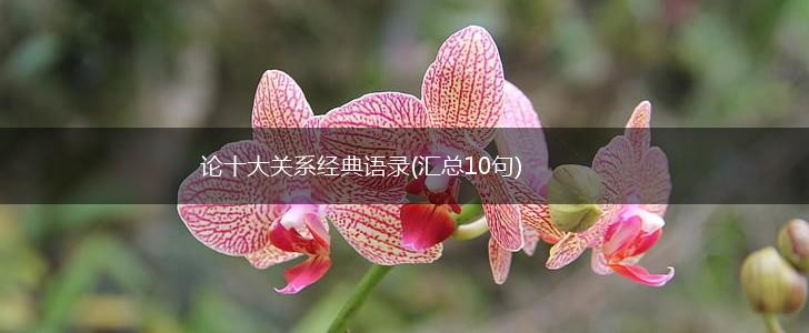 论十大关系经典语录(汇总10句),第1张