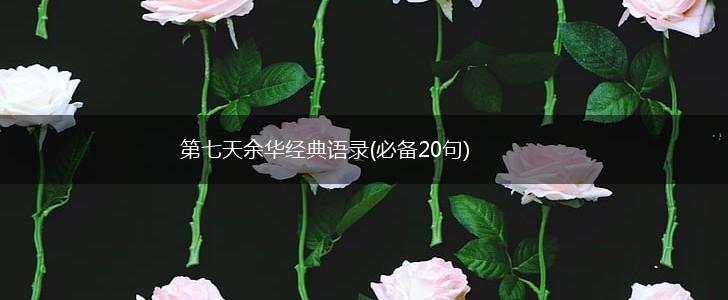 第七天余华经典语录(必备20句),第1张