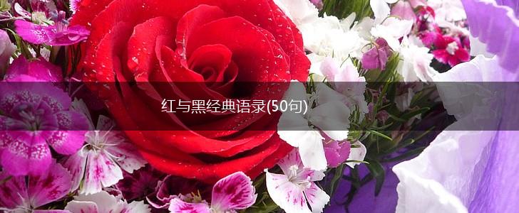 红与黑经典语录(50句),第1张