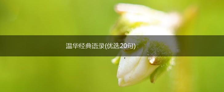 温华经典语录(优选20句),第1张