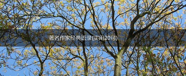著名作家经典语录(实用20句),第1张