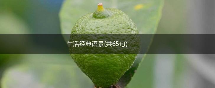 生活经典语录(共65句),第1张