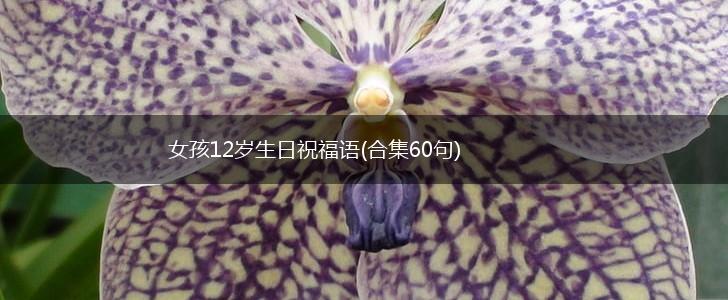 女孩12岁生日祝福语(合集60句),第1张