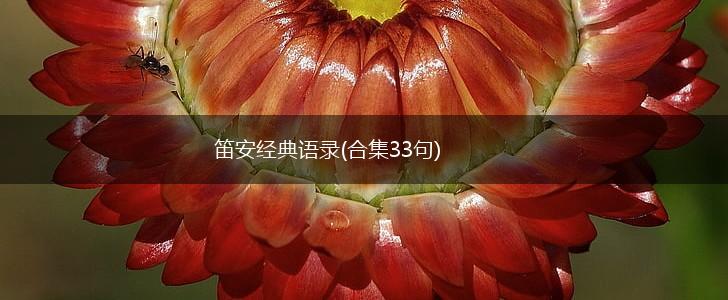 笛安经典语录(合集33句),第1张