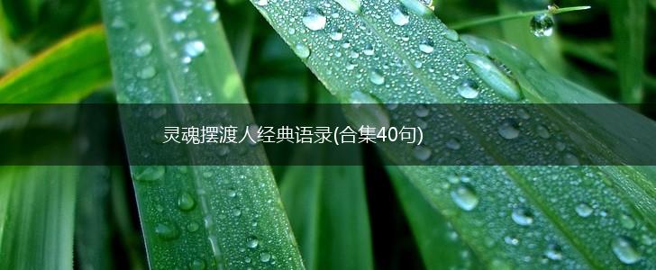 灵魂摆渡人经典语录(合集40句),第1张