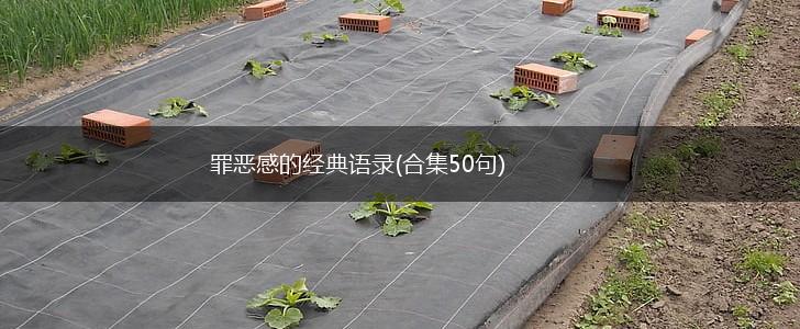 罪恶感的经典语录(合集50句),第1张