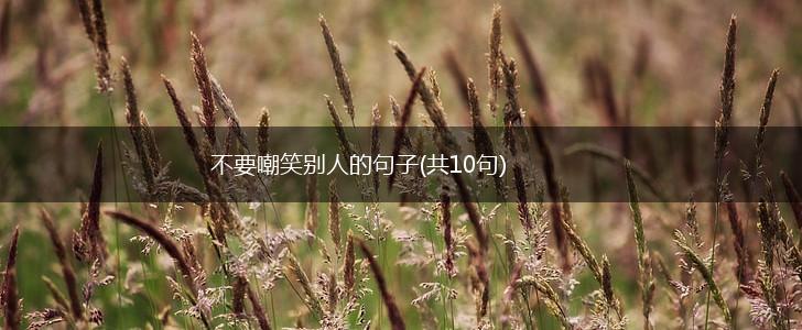 不要嘲笑别人的句子(共10句),第1张
