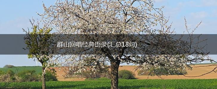 群山回唱经典语录(汇总18句),第1张