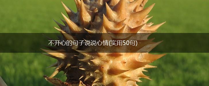 不开心的句子说说心情(实用50句),第1张