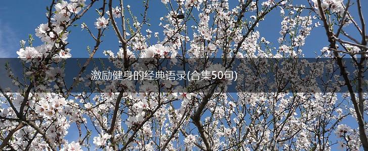 激励健身的经典语录(合集50句),第1张