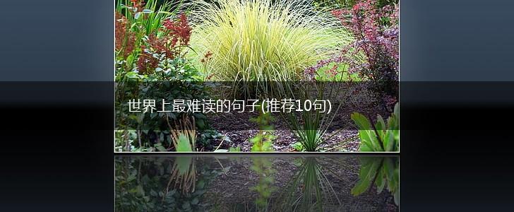 世界上最难读的句子(推荐10句),第1张