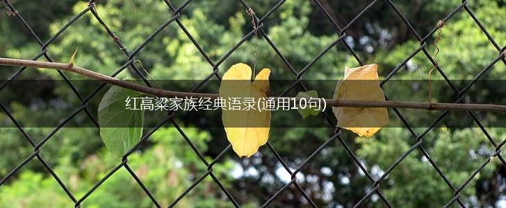 红高粱家族经典语录(通用10句),第1张